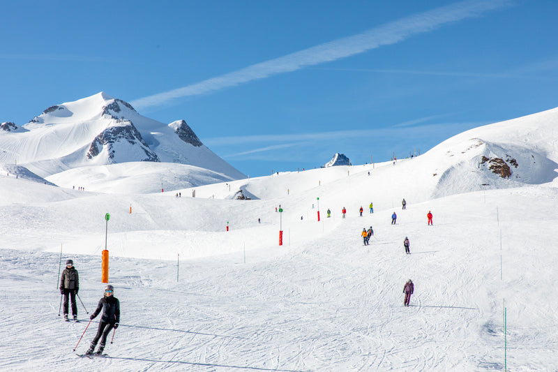Alpine Escape Collection