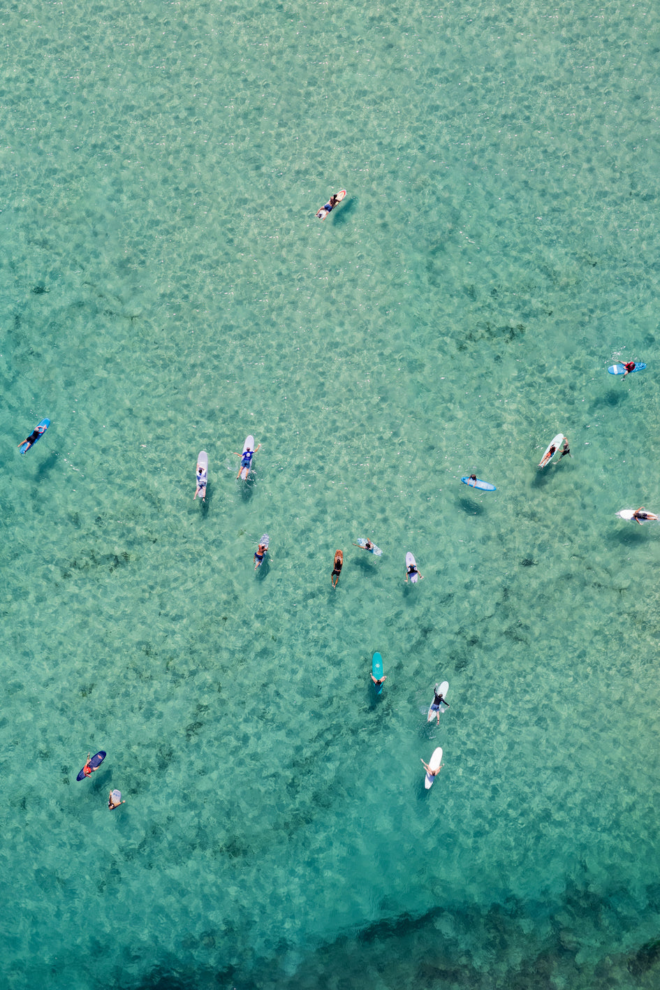 Bondi Surfers Print