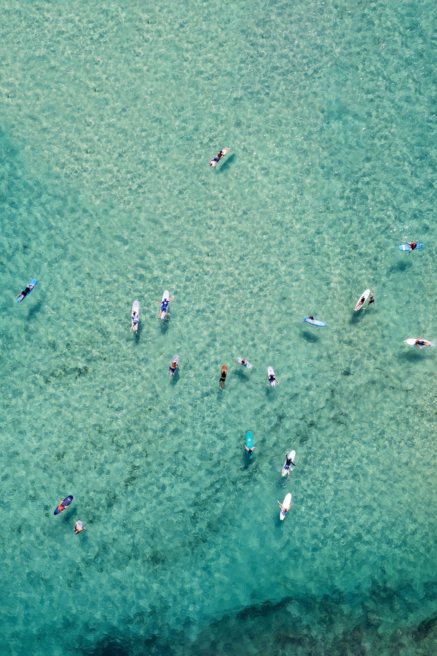 Bondi Surfers Print